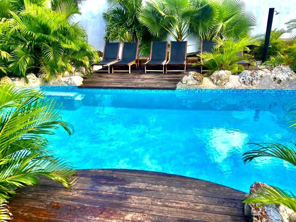 Neue Villa Tropic Paradise ウィレムスタッド エクステリア 写真