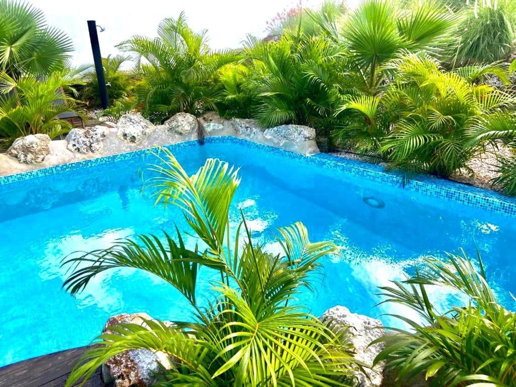 Neue Villa Tropic Paradise ウィレムスタッド エクステリア 写真