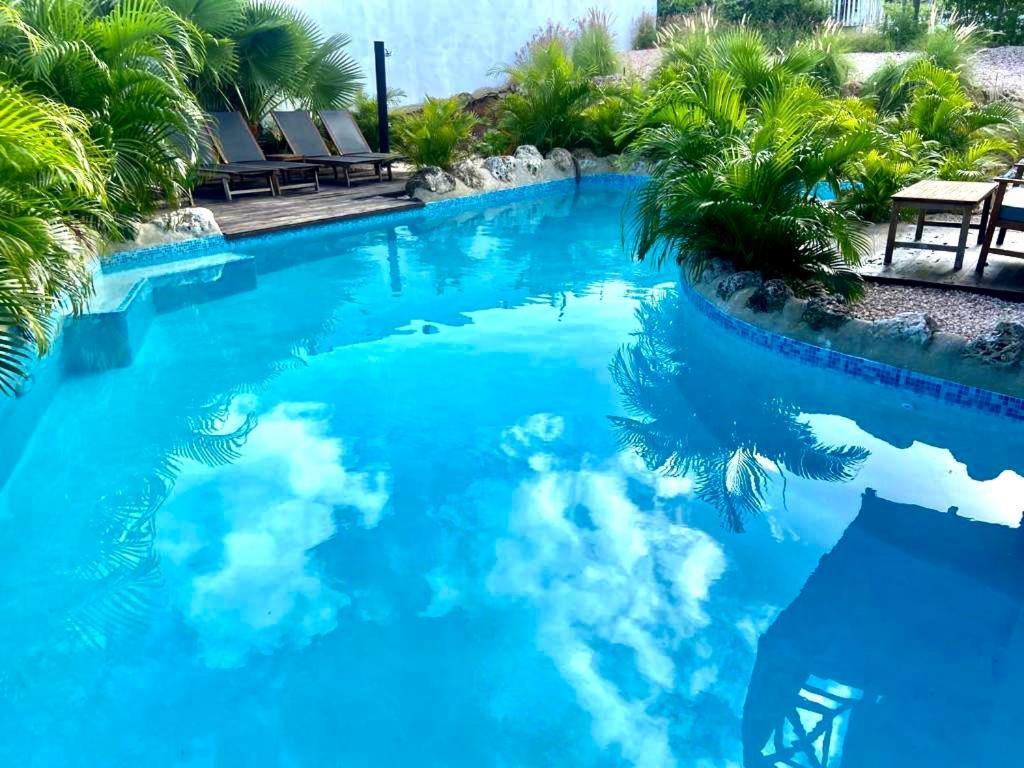 Neue Villa Tropic Paradise ウィレムスタッド エクステリア 写真